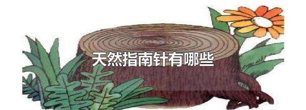 天然指南针有哪些,天然指南针有哪些东西