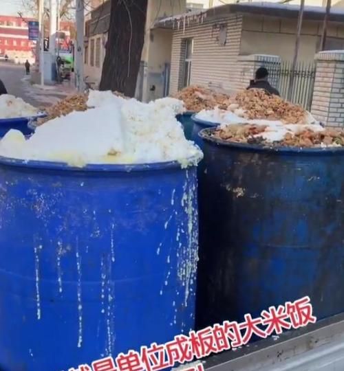 干的大米是什么垃圾,米饭是不是属于垃圾食品图4