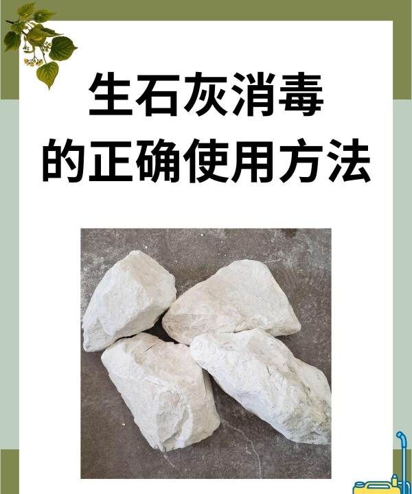 石灰粉撒地能消毒,生石灰消毒的正确使用方法图1