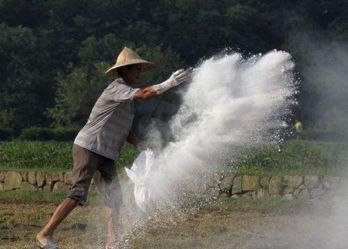 石灰粉撒地能消毒,生石灰消毒的正确使用方法图6