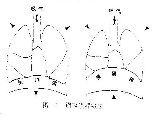 横膈膜呼吸法,横膈膜呼吸法怎么发力图3