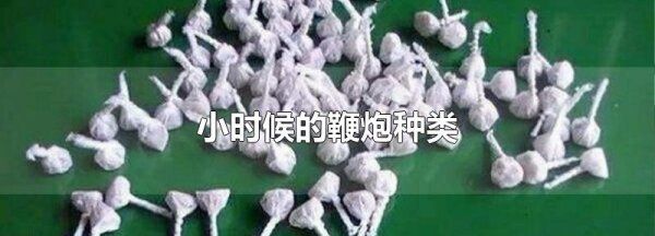 儿童鞭炮烟花种类的名称,小时候玩的鞭炮种类图1