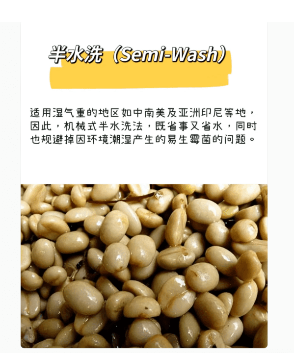 咖啡豆的加工方法有几种,咖啡豆的处理方法图4