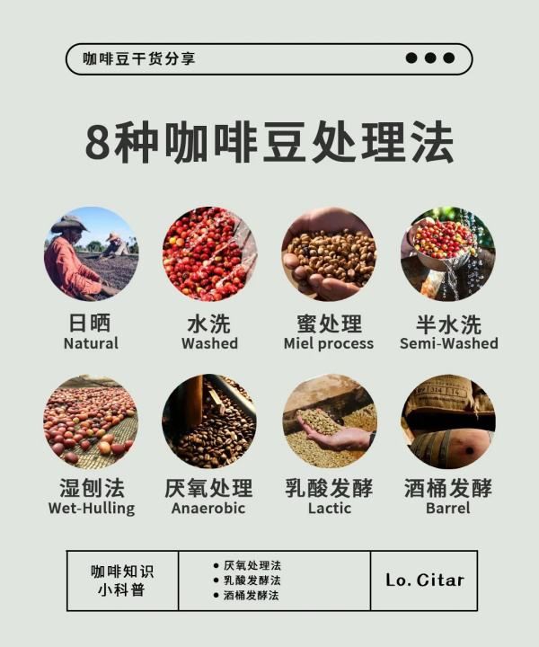 咖啡豆的加工方法有几种,咖啡豆的处理方法图9