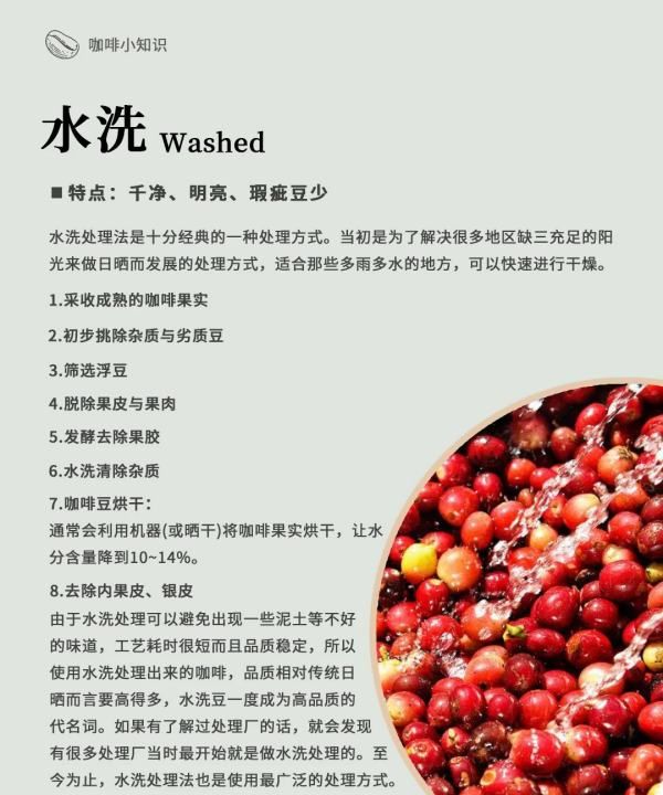 咖啡豆的加工方法有几种,咖啡豆的处理方法图11