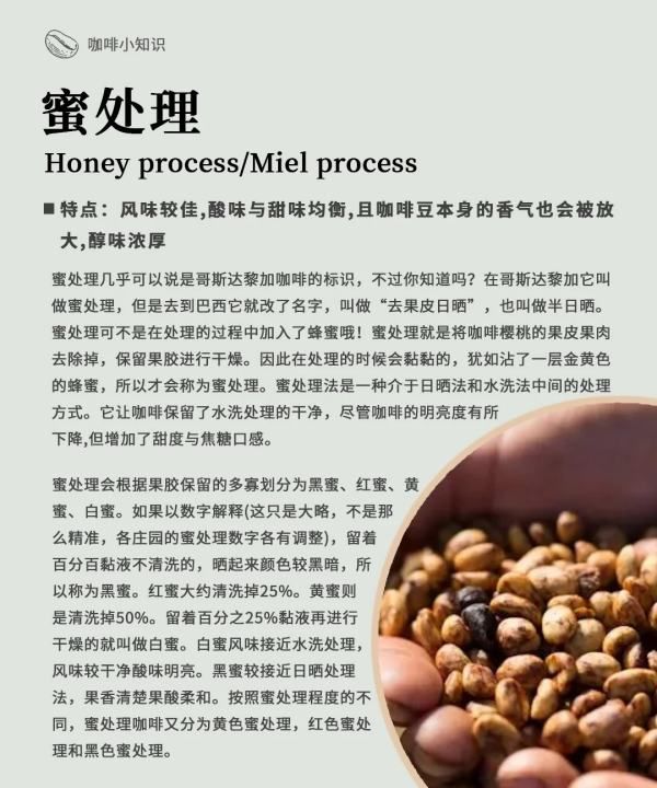 咖啡豆的加工方法有几种,咖啡豆的处理方法图12