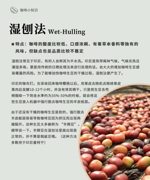 咖啡豆的加工方法有几种,咖啡豆的处理方法图14