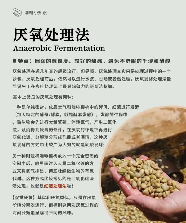 咖啡豆的加工方法有几种,咖啡豆的处理方法图15