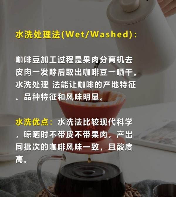 咖啡豆的加工方法有几种,咖啡豆的处理方法图19