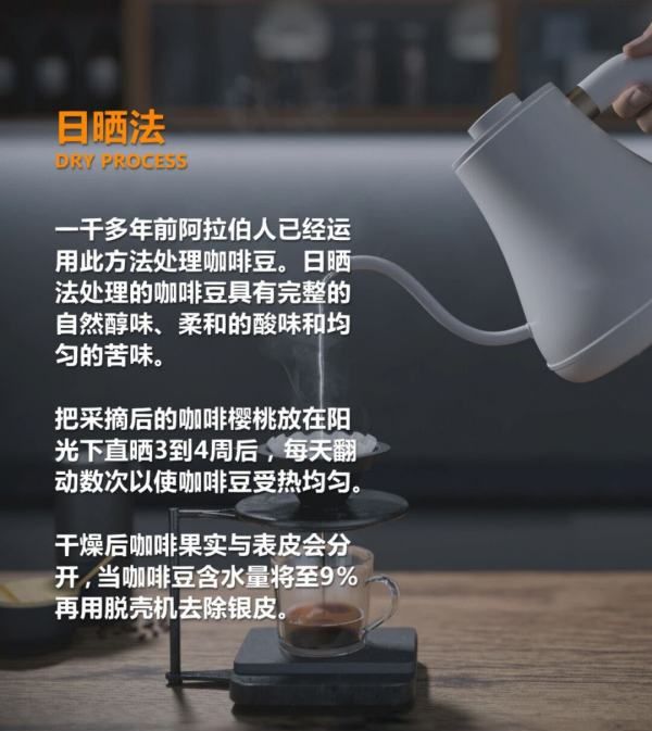 咖啡豆的加工方法有几种,咖啡豆的处理方法图25