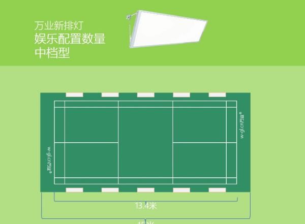 羽毛球场地大小,羽毛球场地标准尺寸图2