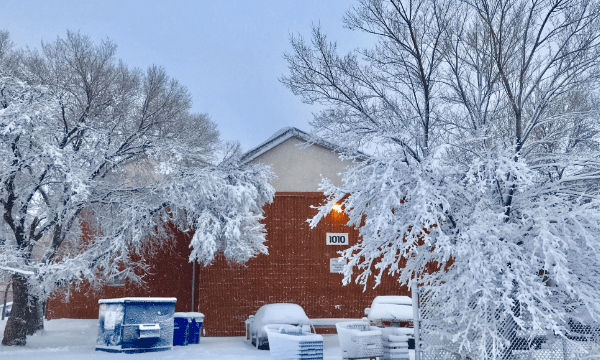 雪是怎样形成的,雪是怎样形成的图3