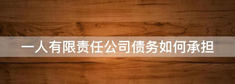 公司没成立产生债务由谁来承担,公司成立前的债务由谁承担责任图2