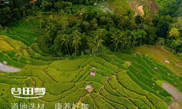 黑豆的作用 黑豆的来源,黑豆的药用价值和功效图9