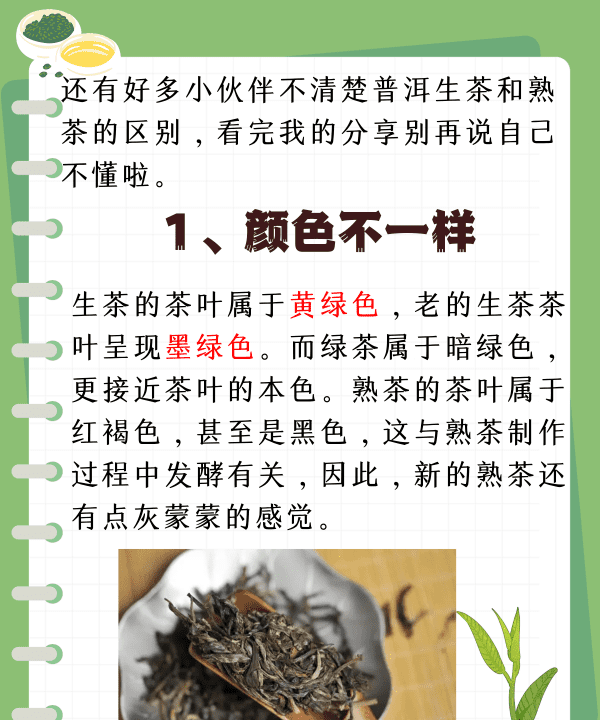 普洱生茶和熟茶的区别,普洱生茶和熟茶的区别图5