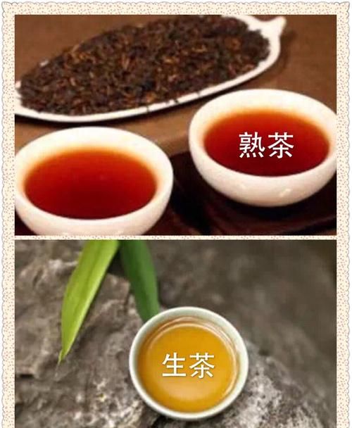 普洱生茶和熟茶的区别,普洱生茶和熟茶的区别图10