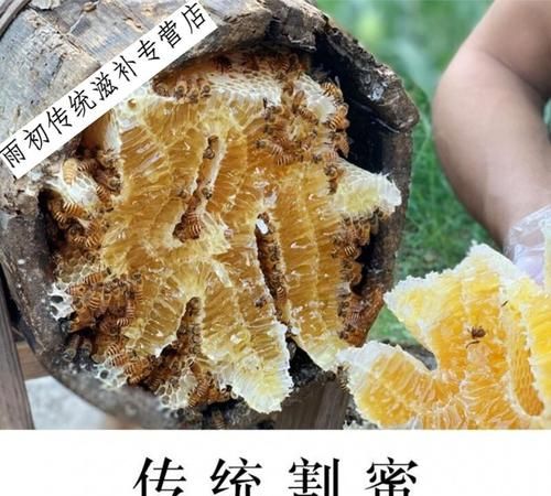 密和蜜怎么区分,密和蜜怎么区分口诀图2