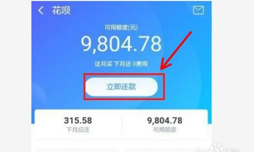 花呗临时额度怎么还,双十花呗临时额度什么时候到账图2