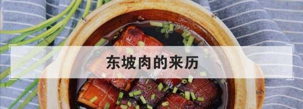 东坡肉的来历,东坡肉的来历图4