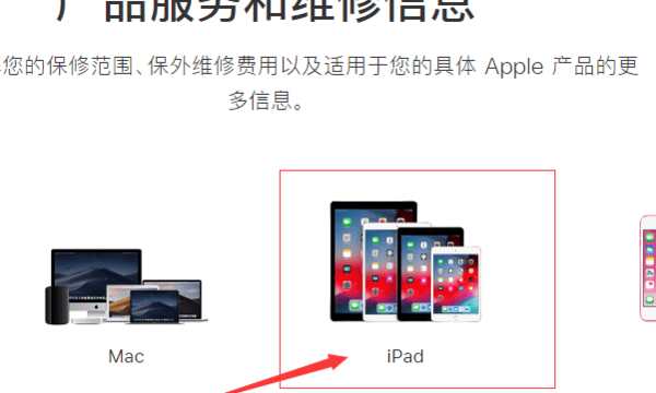 苹果平板ipad 怎么验证真假鉴别,怎么鉴别银的真假图5