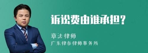 打官司的费用哪一方承担,打官司的费用哪方承担 打官司的费用谁出图4