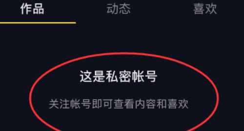 抖音设置隐私 别人看得到吗？,抖音设置私密账号别人看得到图2