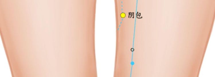 阴包穴的位置和功效,下身部位可以刮痧图3