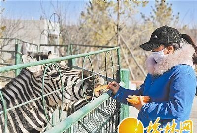 榆林野生动物园在哪里,榆林野生动物园在哪里图2