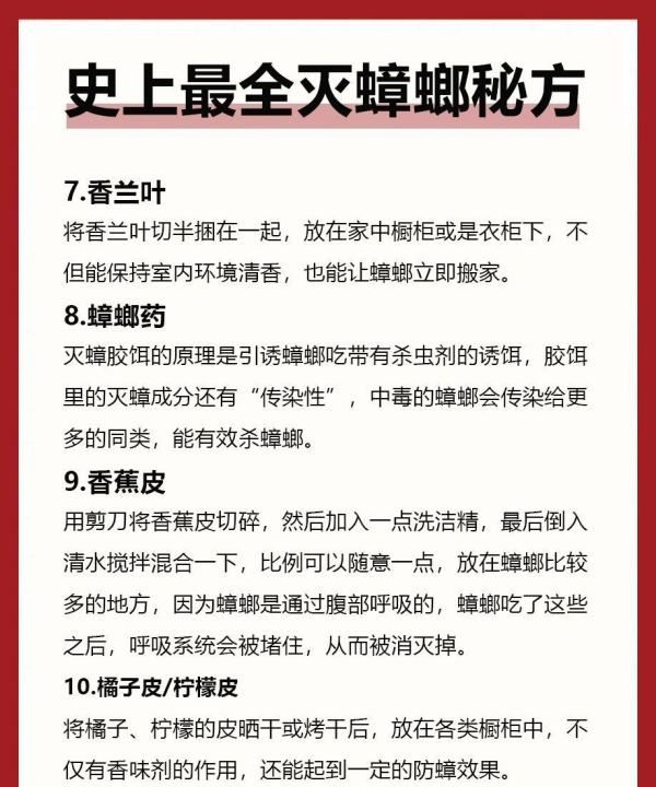 蟑螂怎样彻底消灭,蟑螂怎么消灭最彻底图13