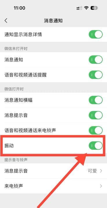 微信怎么取消消息震动,微信来信息振动怎么关闭苹果手机图7