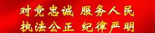 冲正收入是什么意思,冲正收入是什么意思为什么会出现冲正收入的现象图2