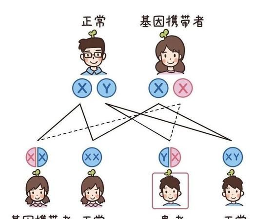 母亲乙肝遗传下一代,女人有乙肝会遗传给下一代图8