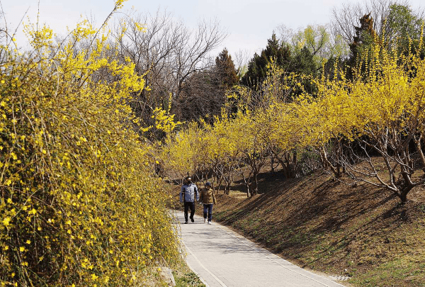 清明节的习俗,清明节都有哪些风俗活动图9