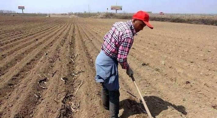 在农村农民怎么承包农村土地,在农村农民怎么承包农村土地图2