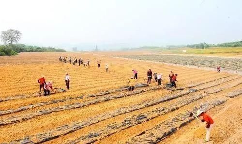 在农村农民怎么承包农村土地,在农村农民怎么承包农村土地图3