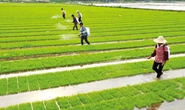 在农村农民怎么承包农村土地,在农村农民怎么承包农村土地图4