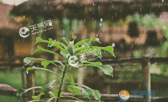 梅雨季节是什么时候,梅天是什么时候开始什么时候结束2022图3