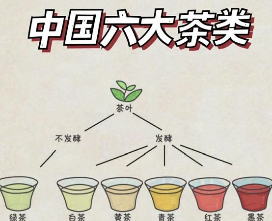 茶的种类和特点,茶叶的种类及特点是什么图2