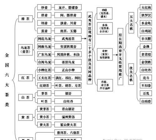 茶的种类和特点,茶叶的种类及特点是什么图7