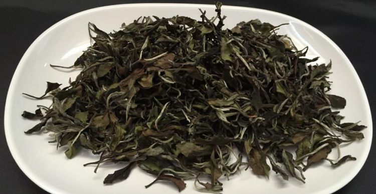 白露茶的功效与作用,喝白露茶的好处图4