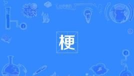 学着点是什么梗,两手指指着自已的眼睛再指向 别人什么意思图3