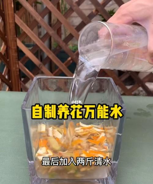 怎么样自制浇花水,自制浇花肥料水 这样浇花花更艳图1