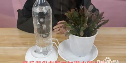 怎么样自制浇花水,自制浇花肥料水 这样浇花花更艳图3