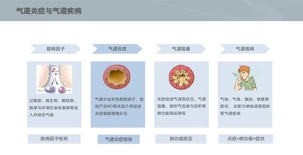 呼出气一氧化氮测定是检查什么的,一氧化氮呼气测定是什么意思图2