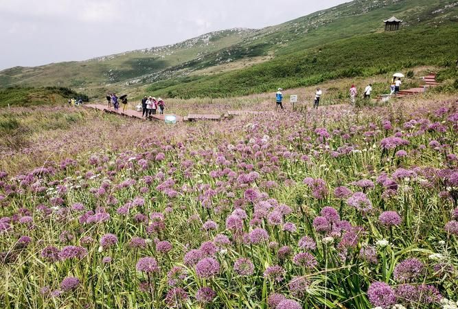 韭菜坪在贵州哪里,贵州平均海拔最高的地方在哪里图2