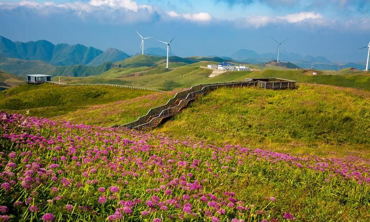 韭菜坪在贵州哪里,贵州平均海拔最高的地方在哪里图3