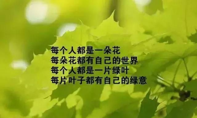 适合发的生活句子,发朋友圈说生活的句子图7