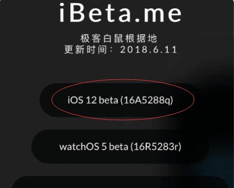 苹果手机iphone 测试版如何恢复到正式版,ios7测试版怎么恢复到正式版上图6