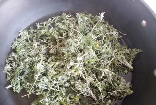 茵陈可以当菜吃,中药茵陈的食用方法图3