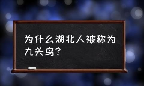 九头鸟反应了湖北人什么性格,湖北人性格特点总结